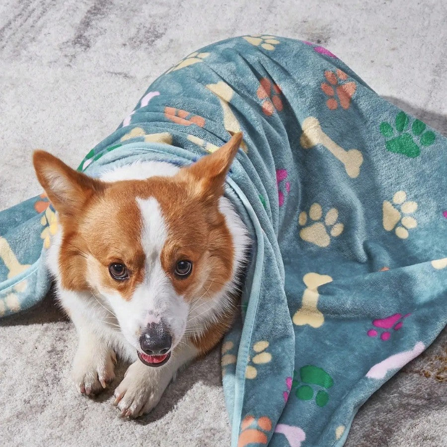 Bone Print Fleece Dog Blanket – Soft & Cozy for Small, Medium & Large Dogs