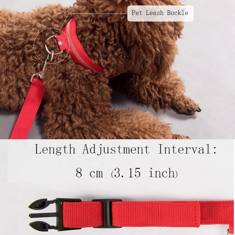 LED Light Nylon Pet Collar – Adjustable, Glowing & Anti-Lost