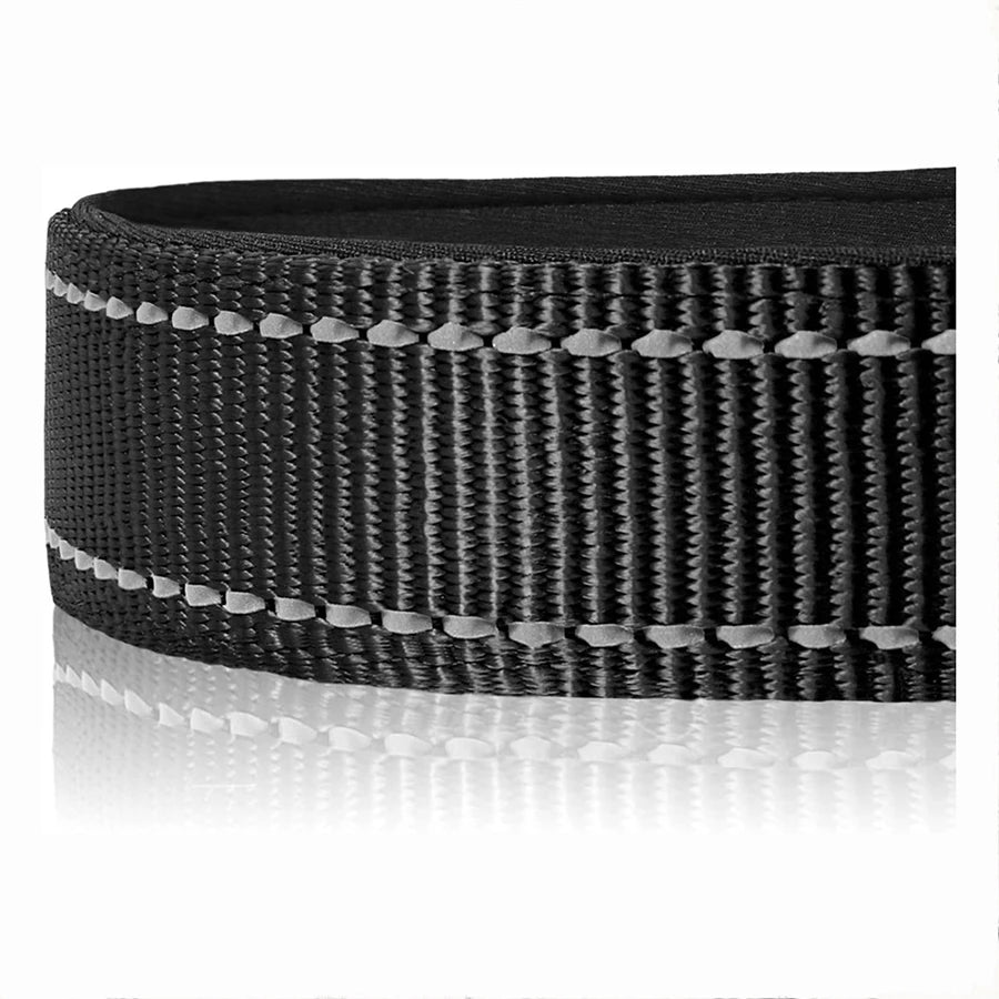 Adjustable Reflective Nylon Dog Collar with Soft Padding & Bone Tag
