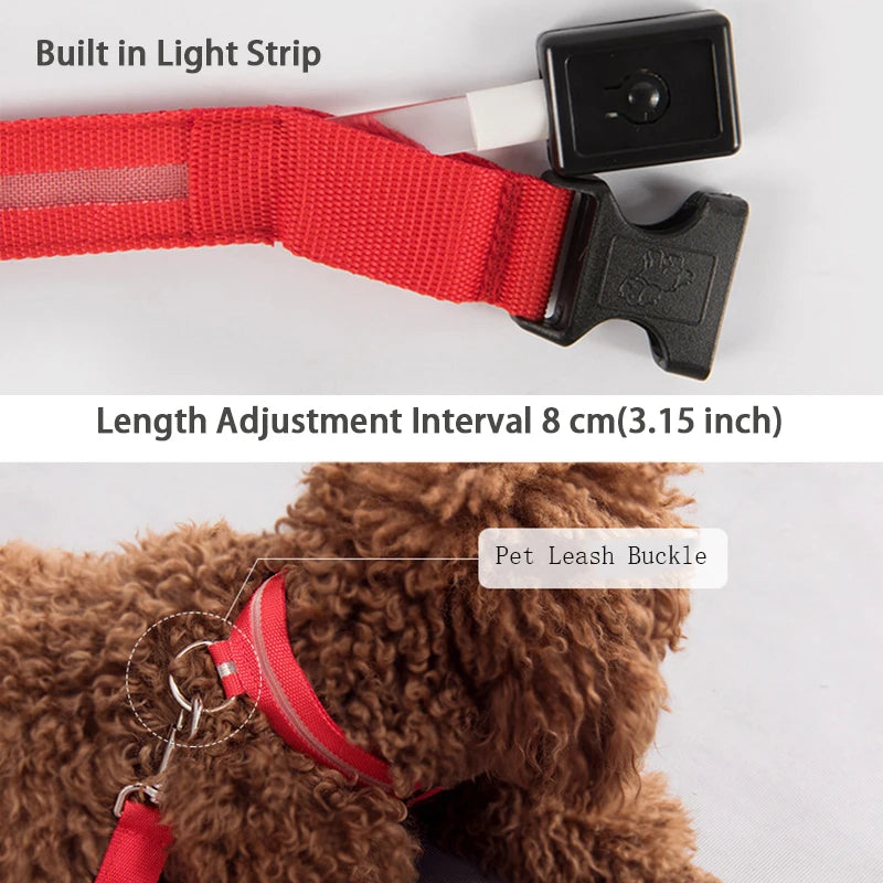 LED Light Nylon Pet Collar – Adjustable, Glowing & Anti-Lost