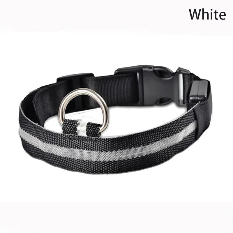 LED Light Nylon Pet Collar – Adjustable, Glowing & Anti-Lost