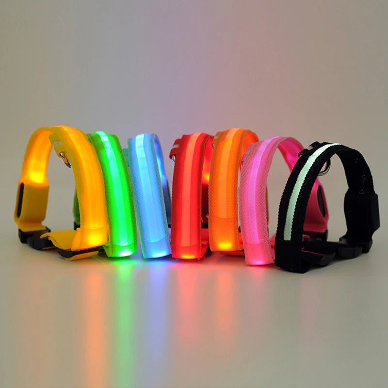LED Light Nylon Pet Collar – Adjustable, Glowing & Anti-Lost