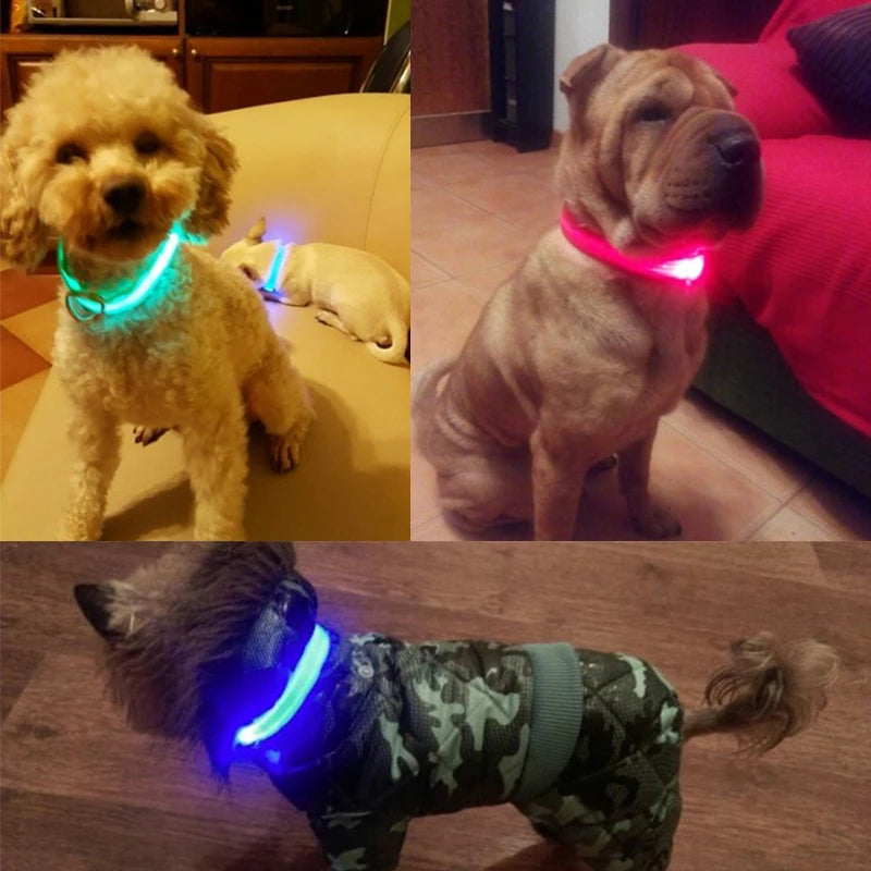 LED Light Nylon Pet Collar – Adjustable, Glowing & Anti-Lost