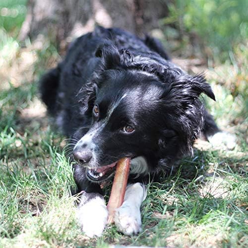 Brazilian Grass-Fed Beef Bully Sticks – Premium Natural Dog Treat