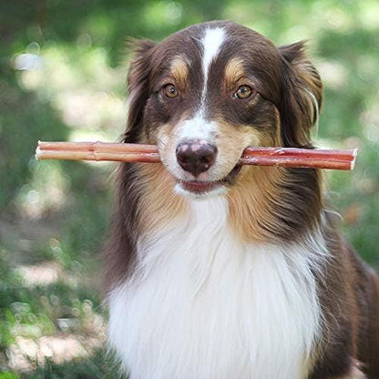 Brazilian Grass-Fed Beef Bully Sticks – Premium Natural Dog Treat