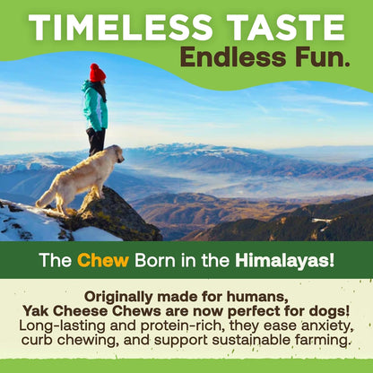 Gold Yak Chews for Small Dogs – Premium Natural Dog Treat