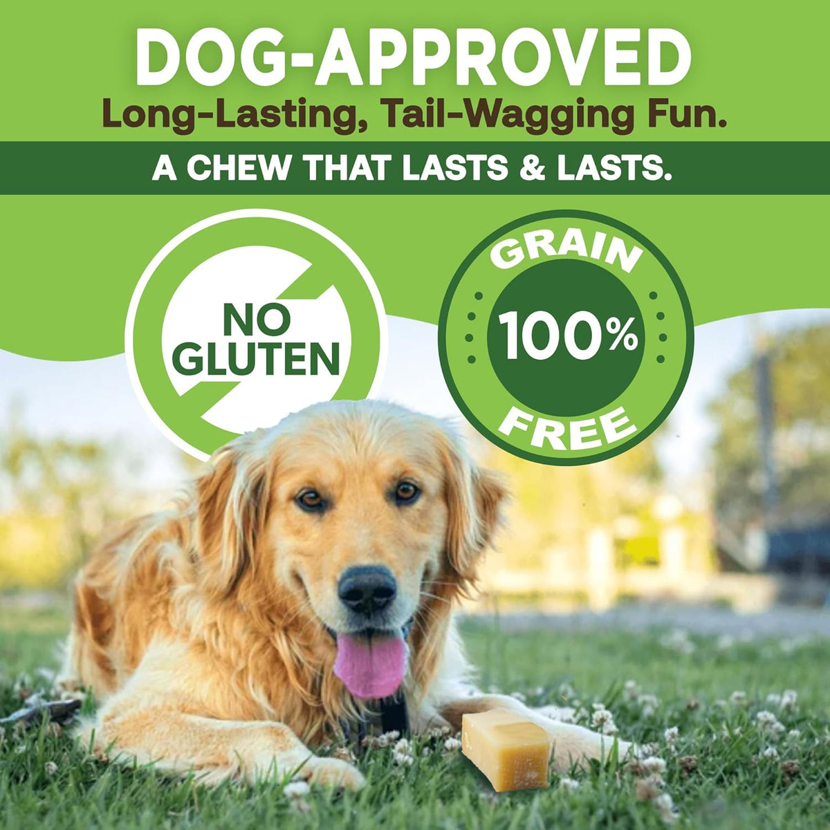 Gold Yak Chews for Small Dogs – Premium Natural Dog Treat